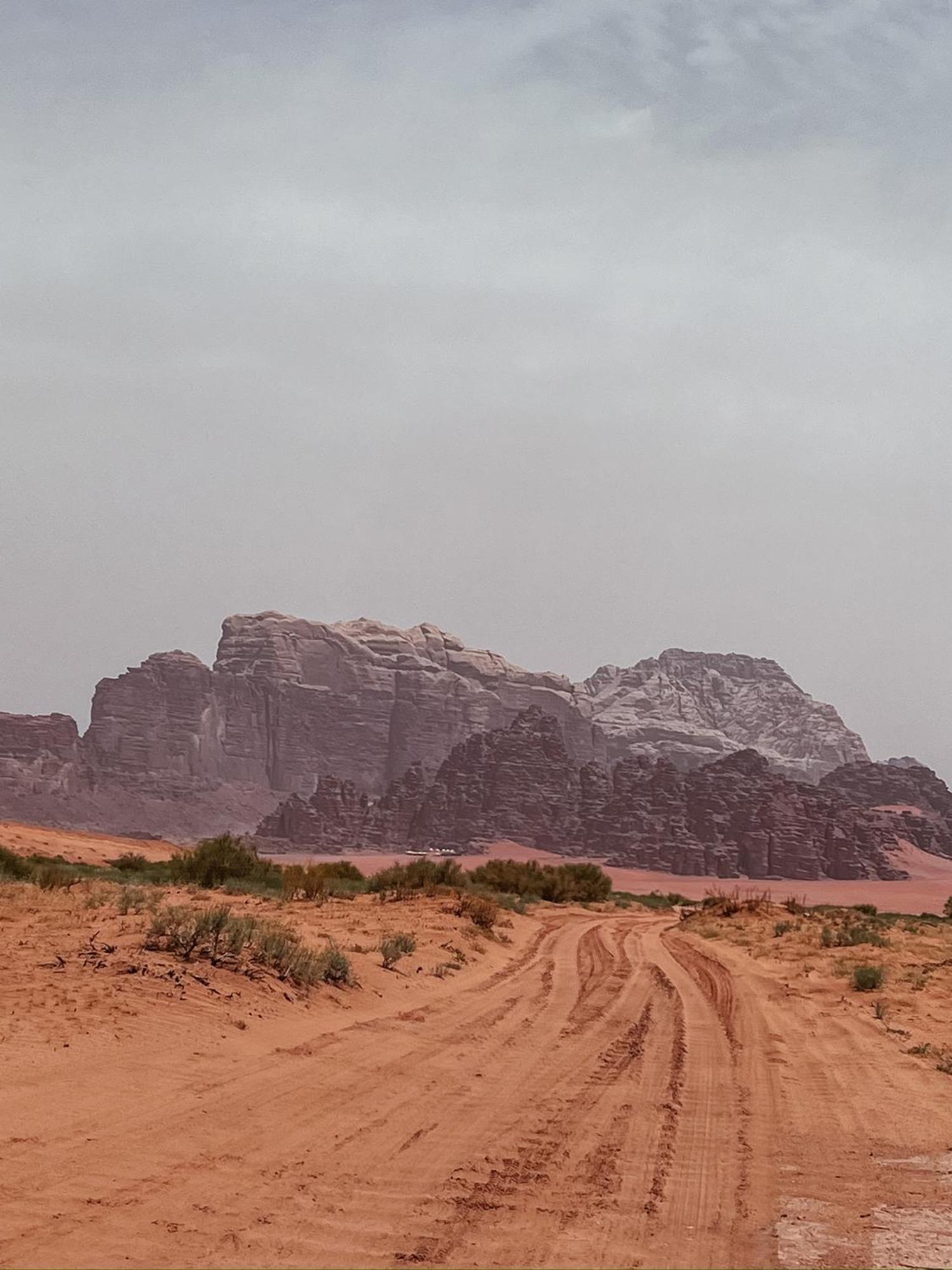 Desert Bird Camp Ваді-Рам Екстер'єр фото